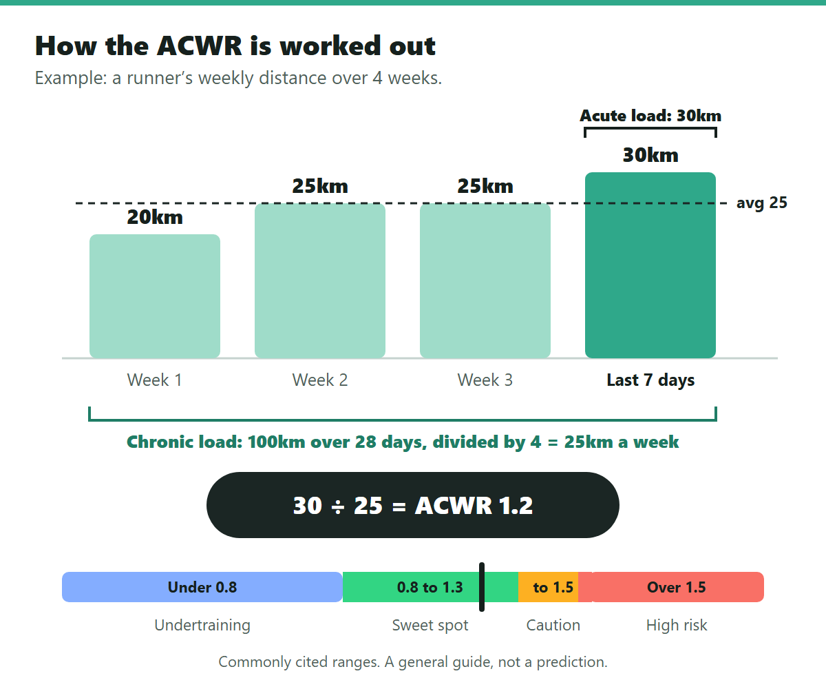 ACWR calculator diagram of acute and chronic training load zones