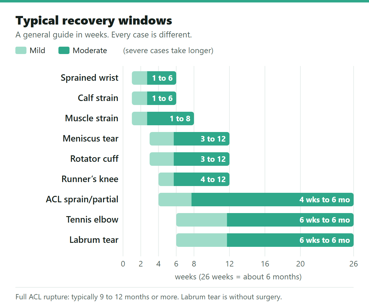 Injury recovery time estimator diagram of typical recovery windows
